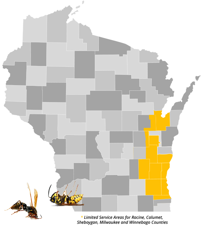 The Bee Guy's Wasp, Hornet and Bee Extermination Service Area