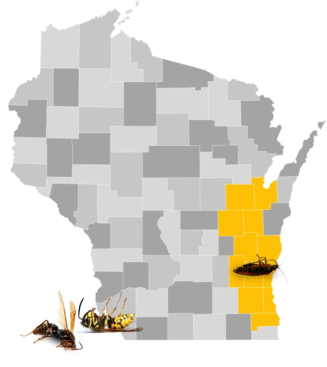 The Bee Guy's Wasp, Hornet and Bee Extermination Service Area