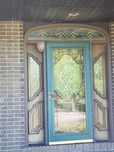 Hornet's nest extermination on front door