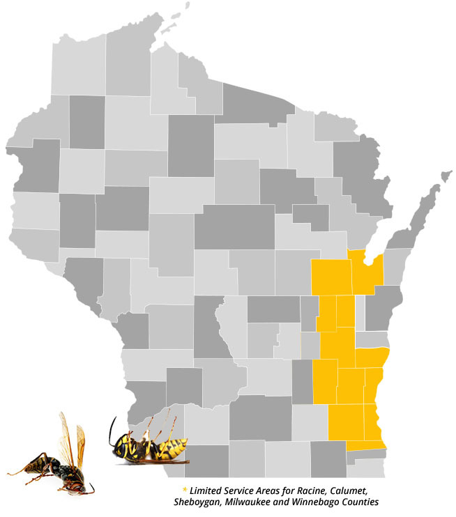 Stinging Insect Abatement Wisconsin