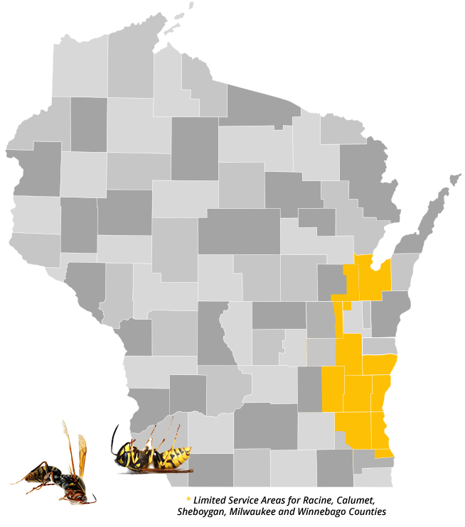 The Bee Guy's Wasp, Hornet and Bee Extermination Service Area